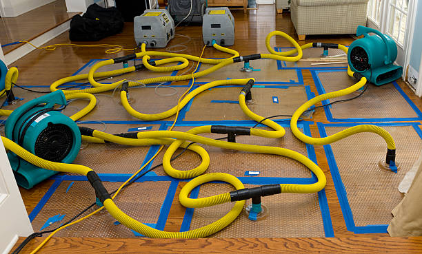 Professional Basement Flood Cleanup technician working in Bay Village, OH